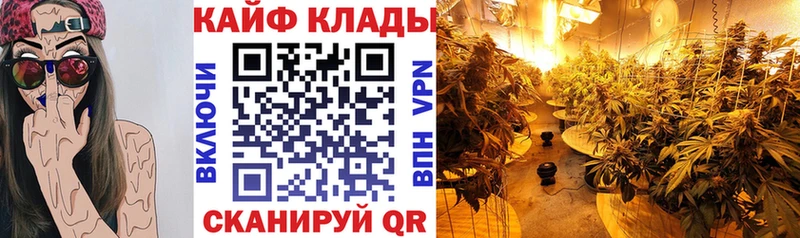 Где купить Пучеж A-PVP  ГАШИШ 