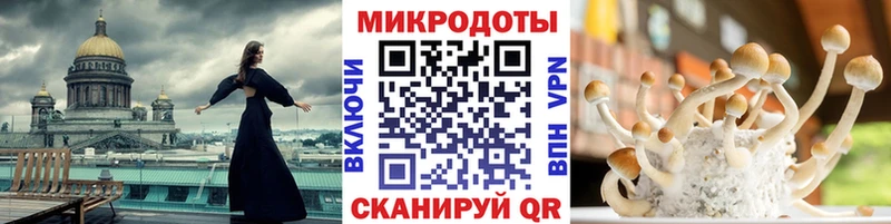 Псилоцибиновые грибы MAGIC MUSHROOMS сколько стоит mega Пучеж
