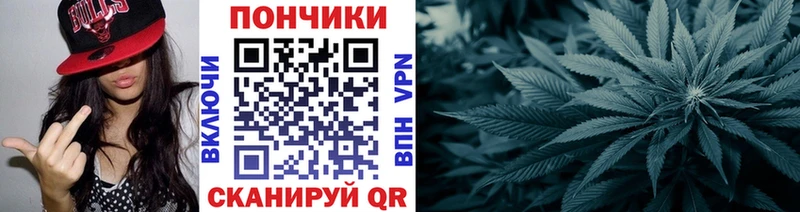 Бошки Шишки VHQ  продажа наркотиков  Пучеж 